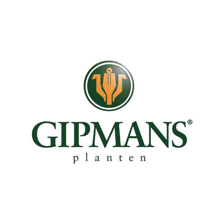 Gipmans Planten